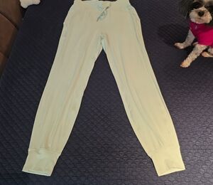 Lululemon Athletica Light Green Joggers